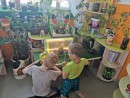 Экологический центр «Гидропоника» в МБДОУ детский сад «Рыбка»